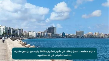 ٥ أيام ممتعة.. احجز رحلتك إلى شرم الشيخ بـ2000 جنيه عبر برنامج «اعرف بلدك» للشباب في الإسكندرية